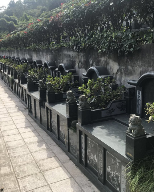 博鱼（中国）